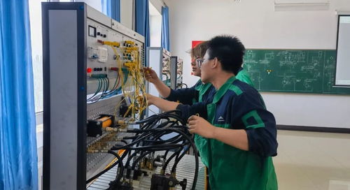 金川集團選礦廠專業化塑培強技能，鍛造過硬維保隊伍