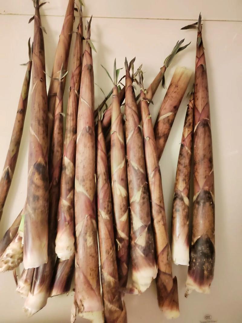 新鮮竹筍炒肉 清甜脆嫩的全流程制作工藝